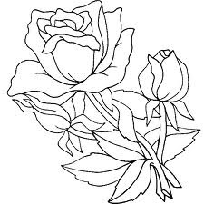 Rosas para dibujar y colorear