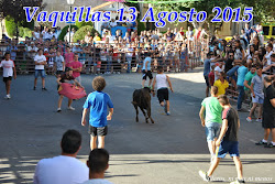 VAQUILLAS 13 AGOSTO 2015