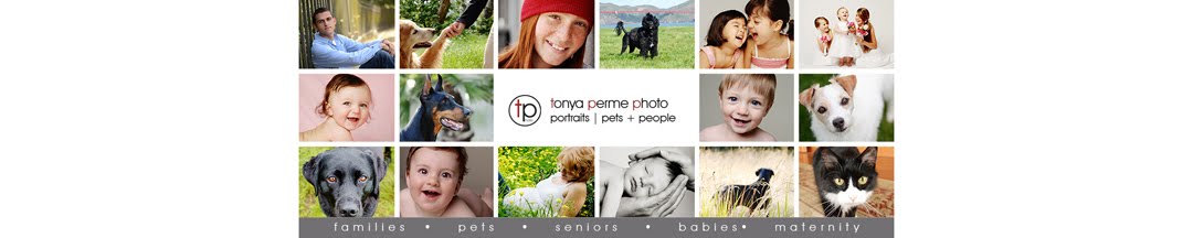 San Franciso - Oakland Pet and People Portrait Photographer | Tonya Perme Photography
