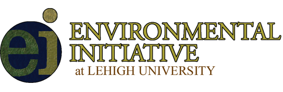 Environmental Initiative (EI)