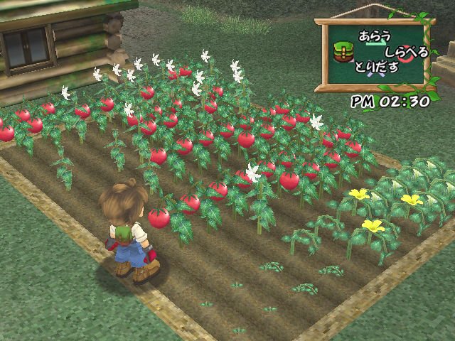 harvest moon a wonderful life ppsspp iso harvest moon a wonderful life ppsspp iso