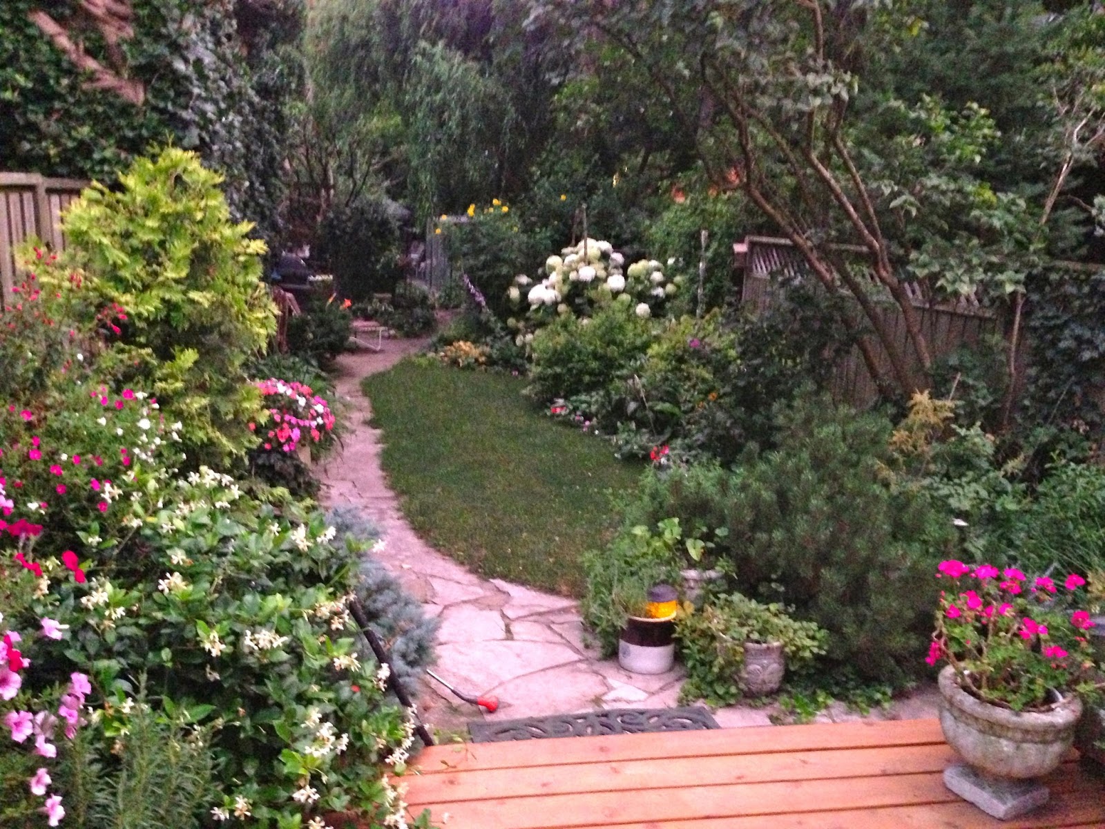 tonight’s pix tonight's pix Beth Kaplan