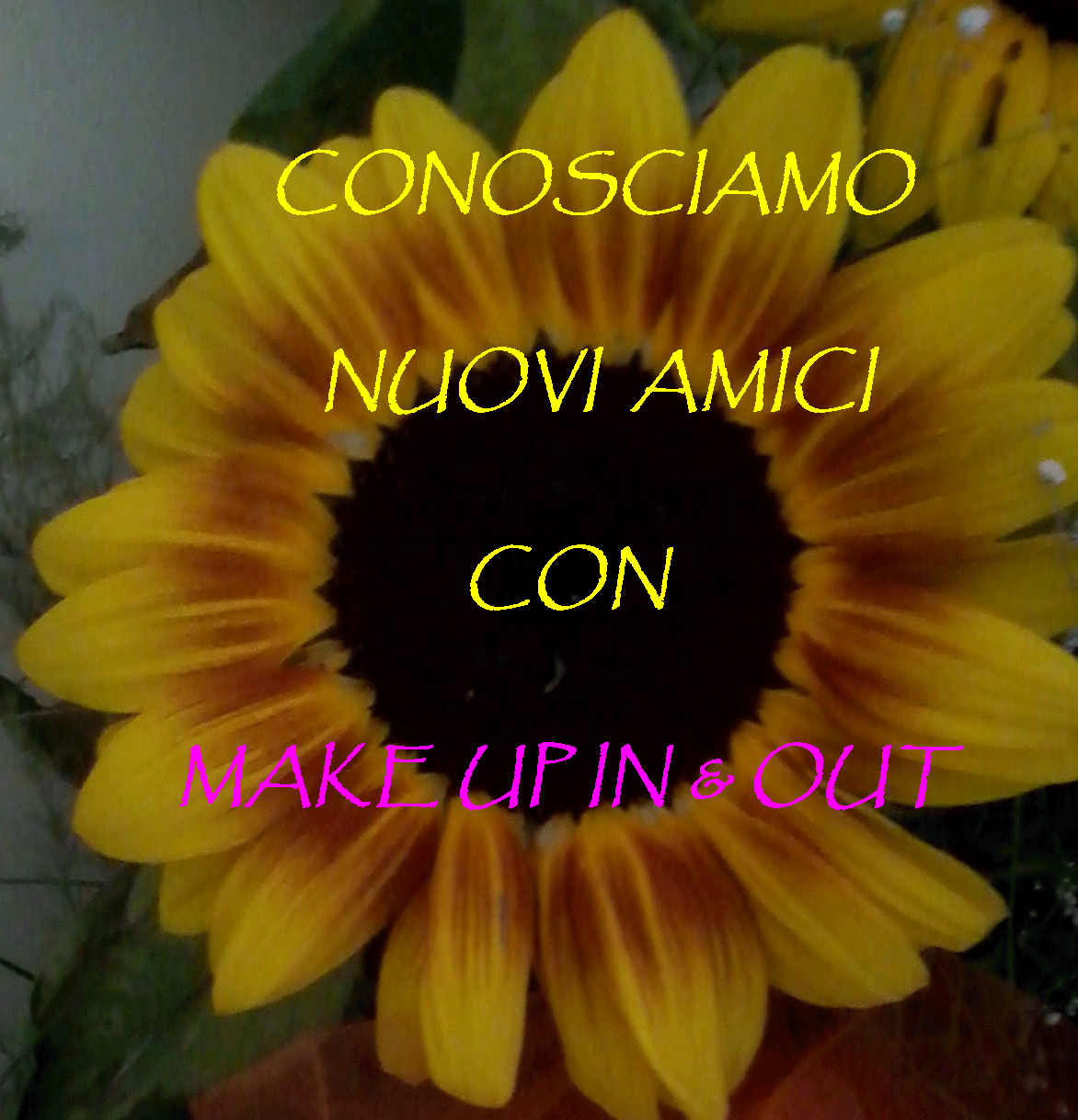 ragazze per amicizia
