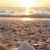 Shell Beach Sanibel Island, Florida,USA