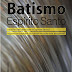 Batismo Com o Espírito Santo - Paumer Robertson