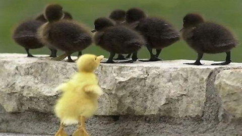 prejudice groups