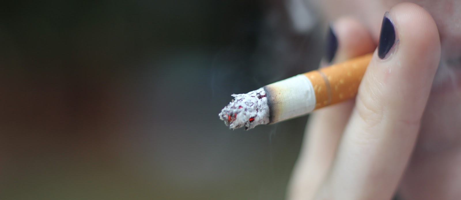 ISO 22000 Resource Center Chemical Food Contaminants (Heavy Metals) II