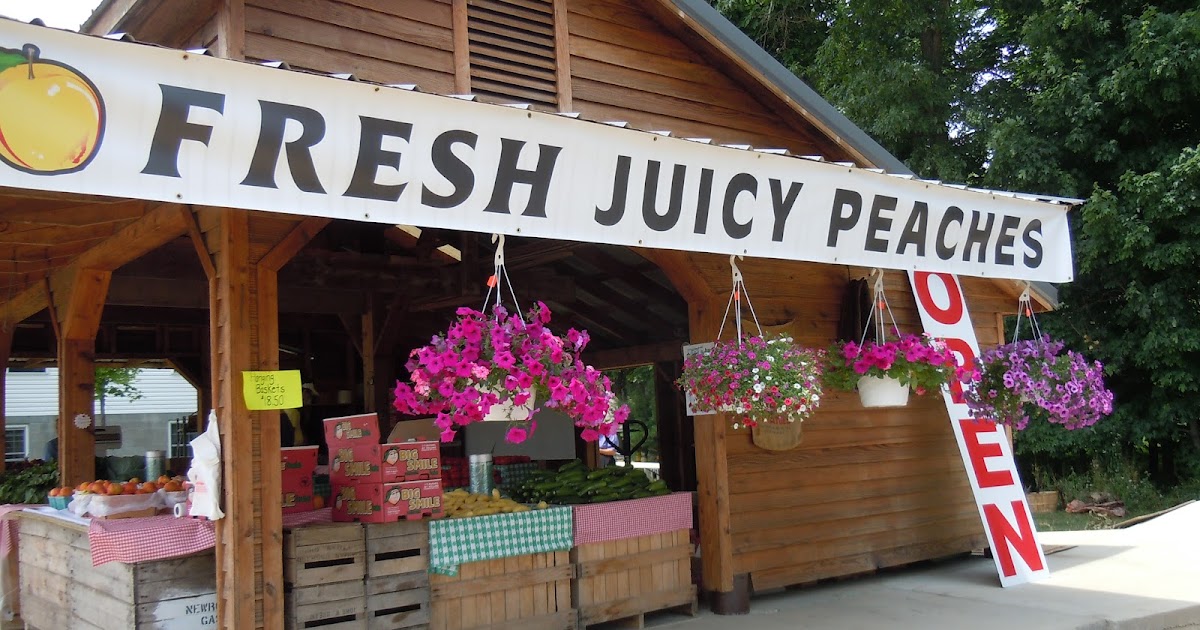 Aurora Blythe Farm Fresh