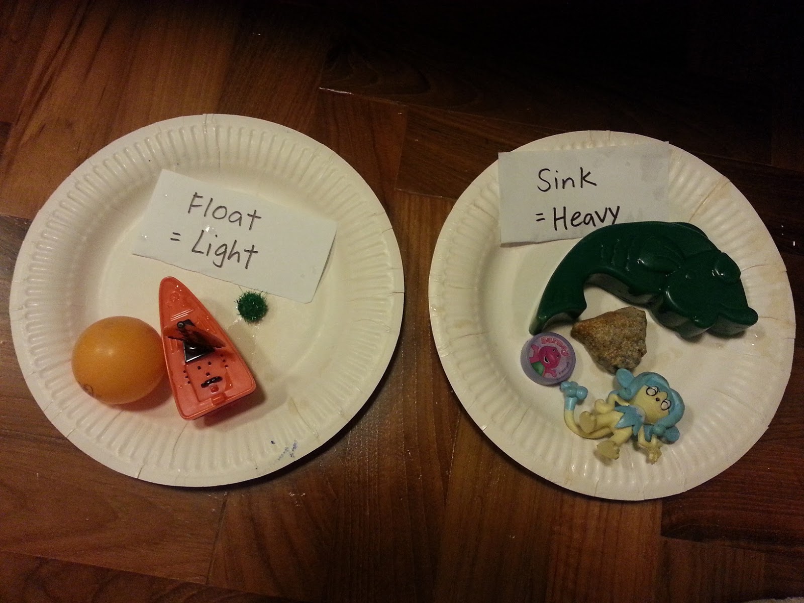 Banner Sink or Float Experiment