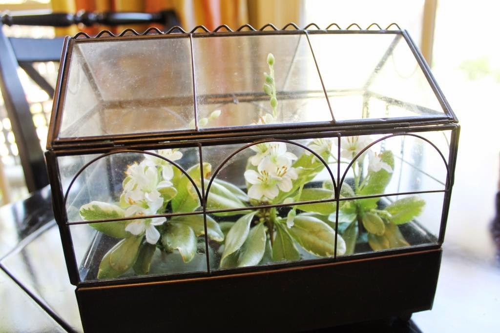 DIY Faux Moss Terrariums Miss Kopy Kat