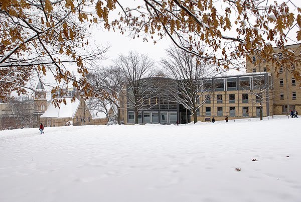 Ansford School