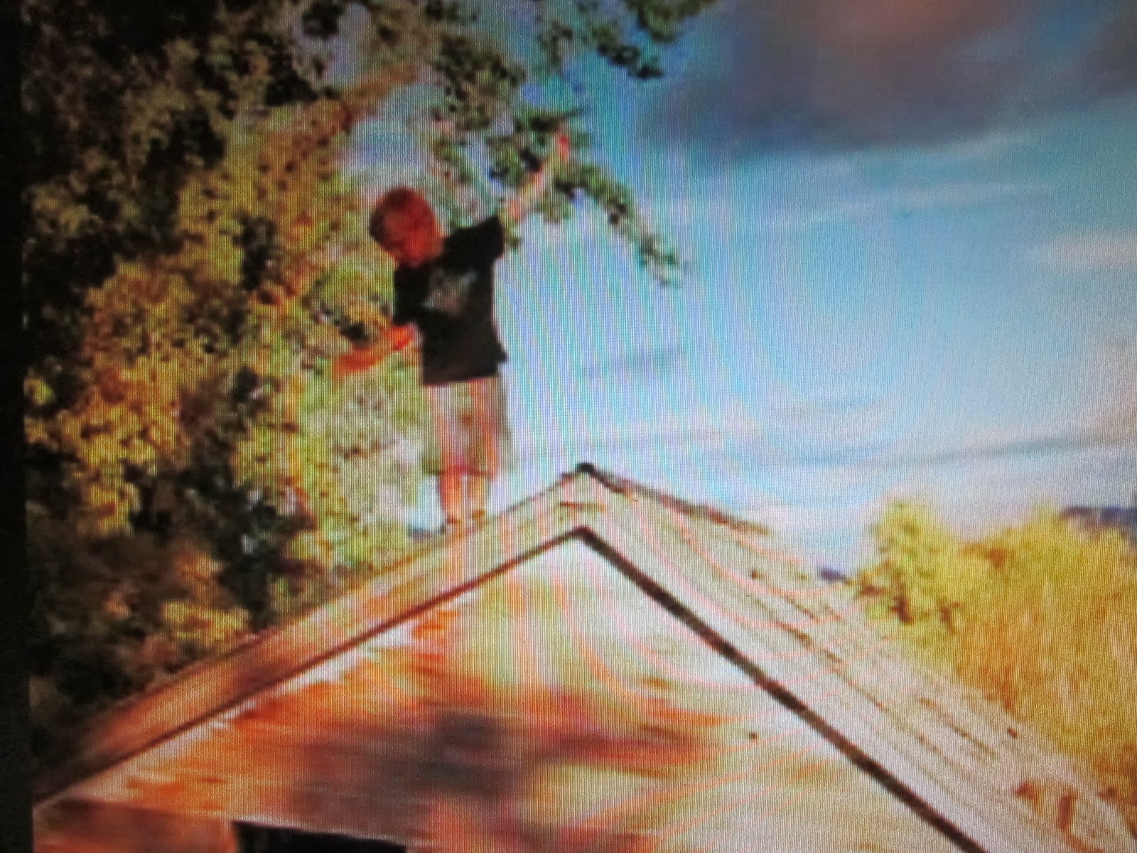 boy on barn