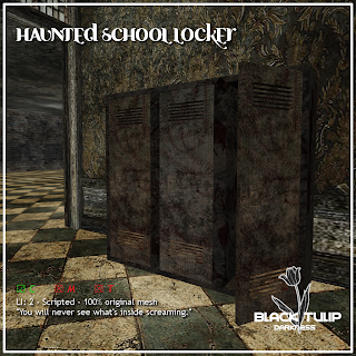 The haunted school locker