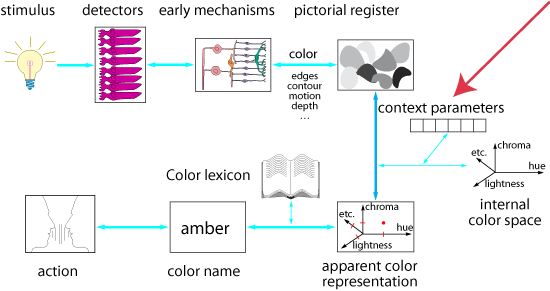 operational model for color appearance