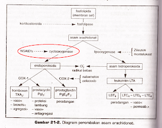 Jenis obat kortikosteroid pdf