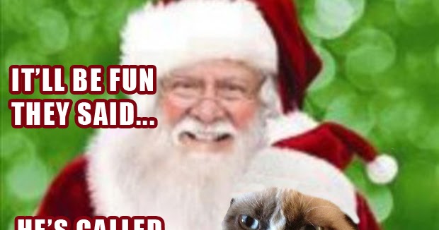 Christmas iphone wallpaper. iphone background. funny. meme. holiday Grumpy Cat Christmas Meme Santa Wallpaper Desktop HD (620 x 576