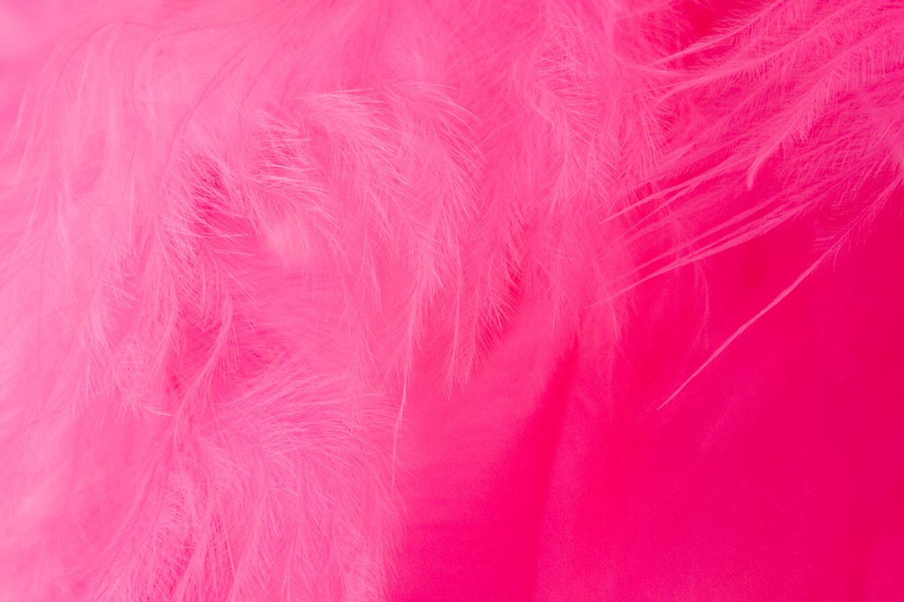 Complementary Of Pink | tons de rosa tons de rosas Complementary Of Pink | tons de rosa tons de rosas