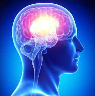 Brain Aricept Namenda Combination Therapy