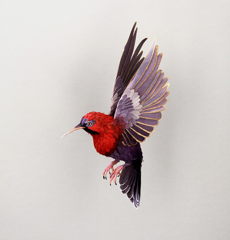 3d colourful paper birds sculptures by Diana Beltran Herera art