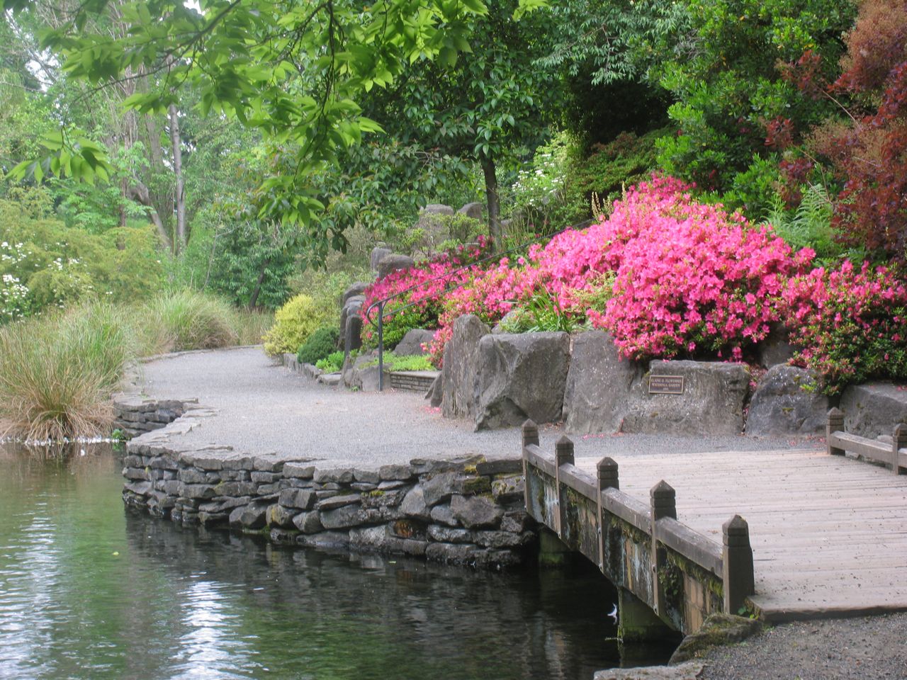 Peaceful Places in Portland Images from Crystal Springs Rhododendron Garden