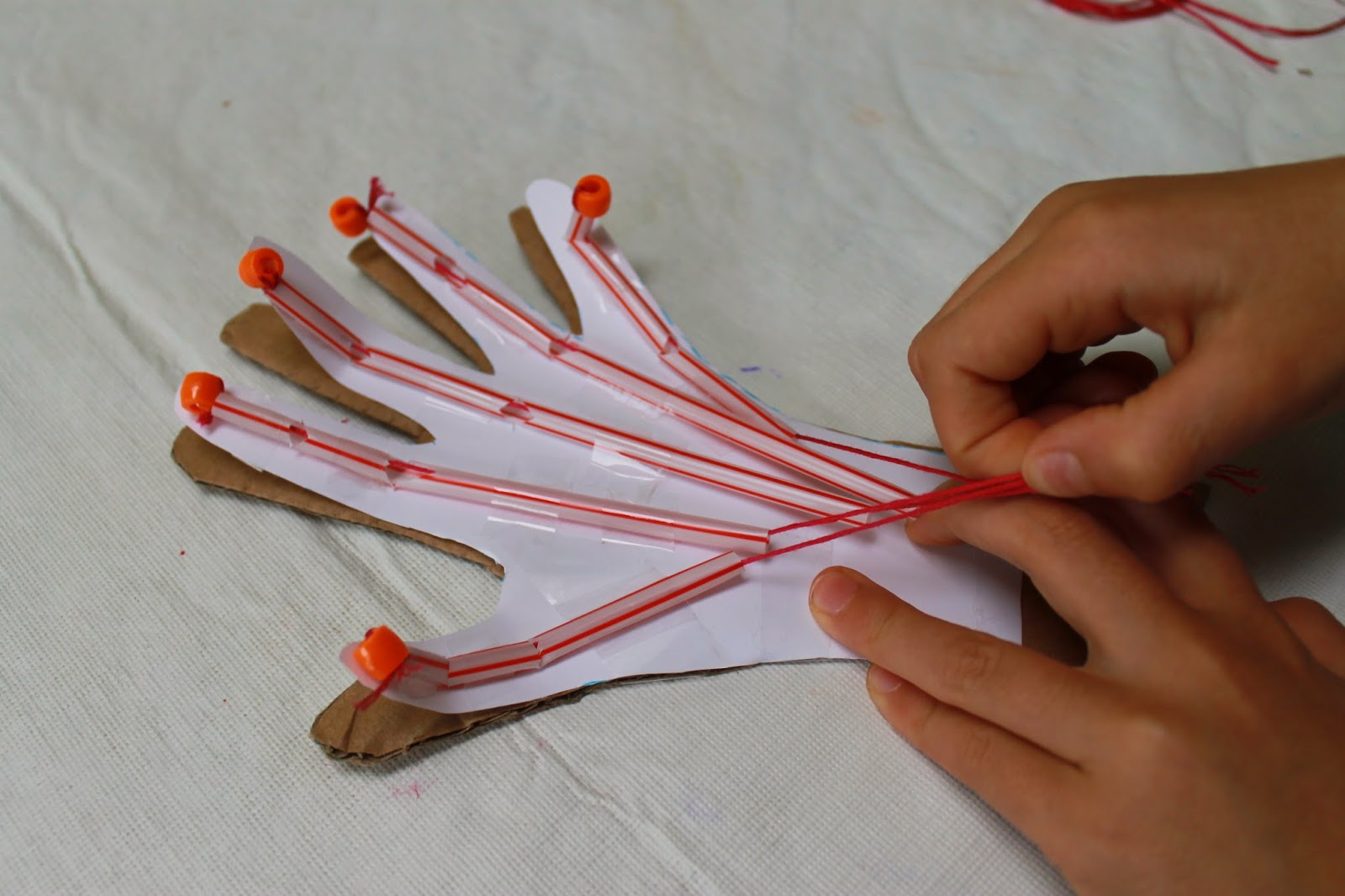 You want to learn about What??: Human Anatomy-the Muscular System