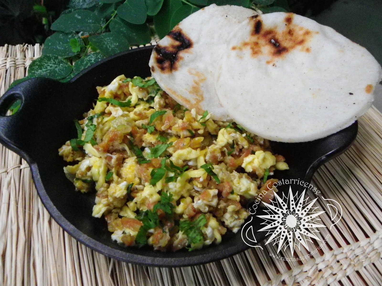 Image Result For Receta De Cocina De Tigrillo Image Result For Receta De Cocina De Tigrillo