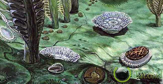 Kepunahan di Jaman Akhir Ediacaran Kepunahan di Jaman Akhir Ediacaran