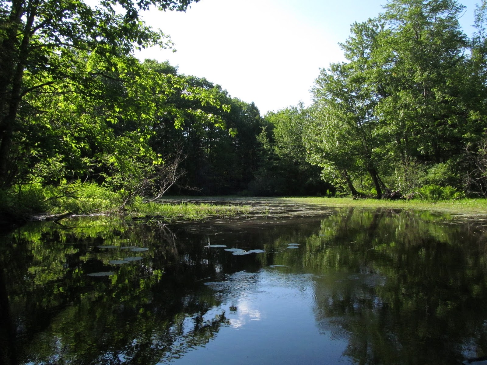 Recreational Kayaking in Maine Upper Pleasant Pond, Richmond, Maine