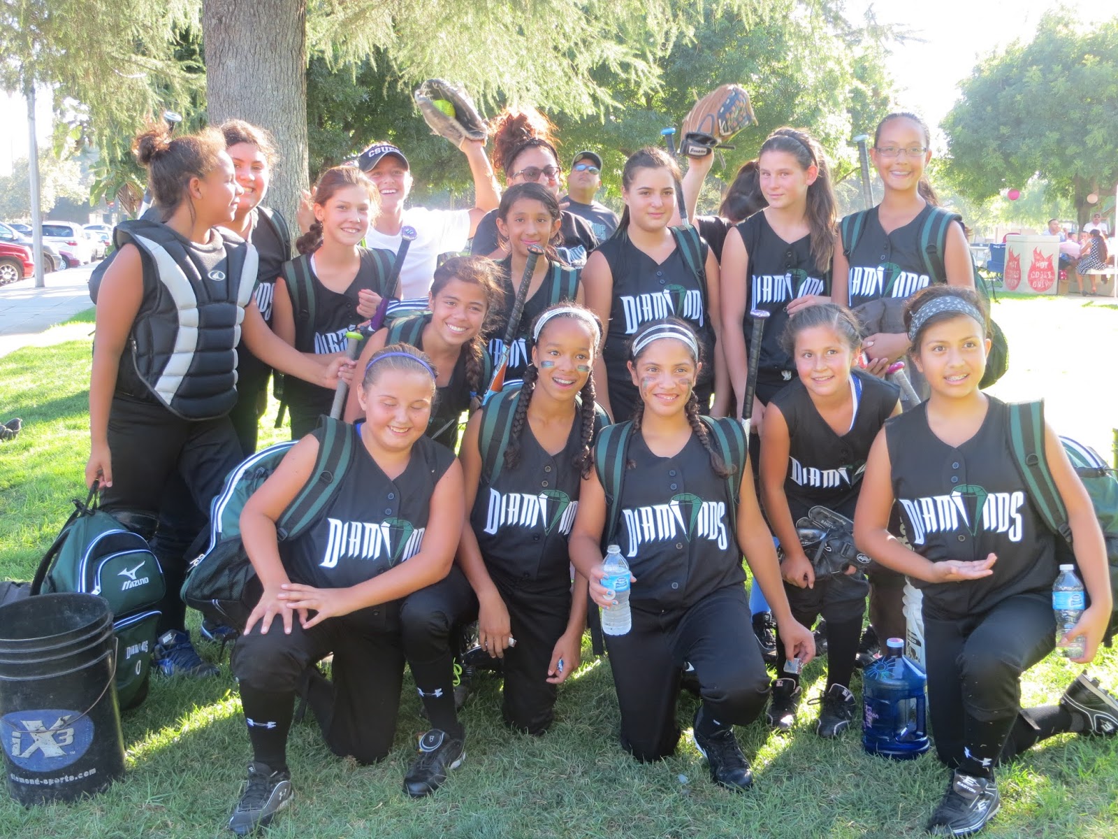 Diamonds Fastpitch Softball DIAMONDS ALBUM