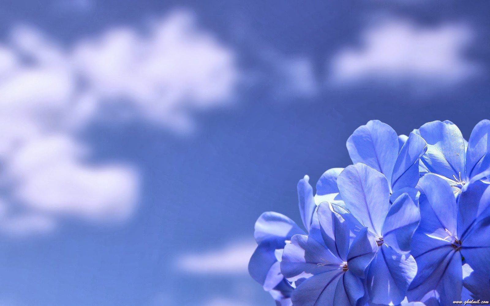 Wallpapers Zone: Beautiful Blue Sky Wallpapers