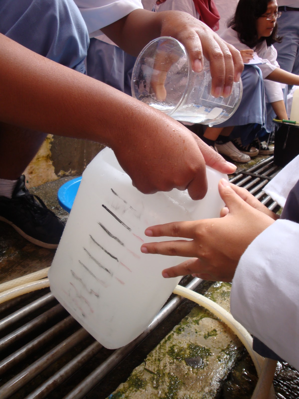 deAlena Laporan Praktikum Sistem Respirasi