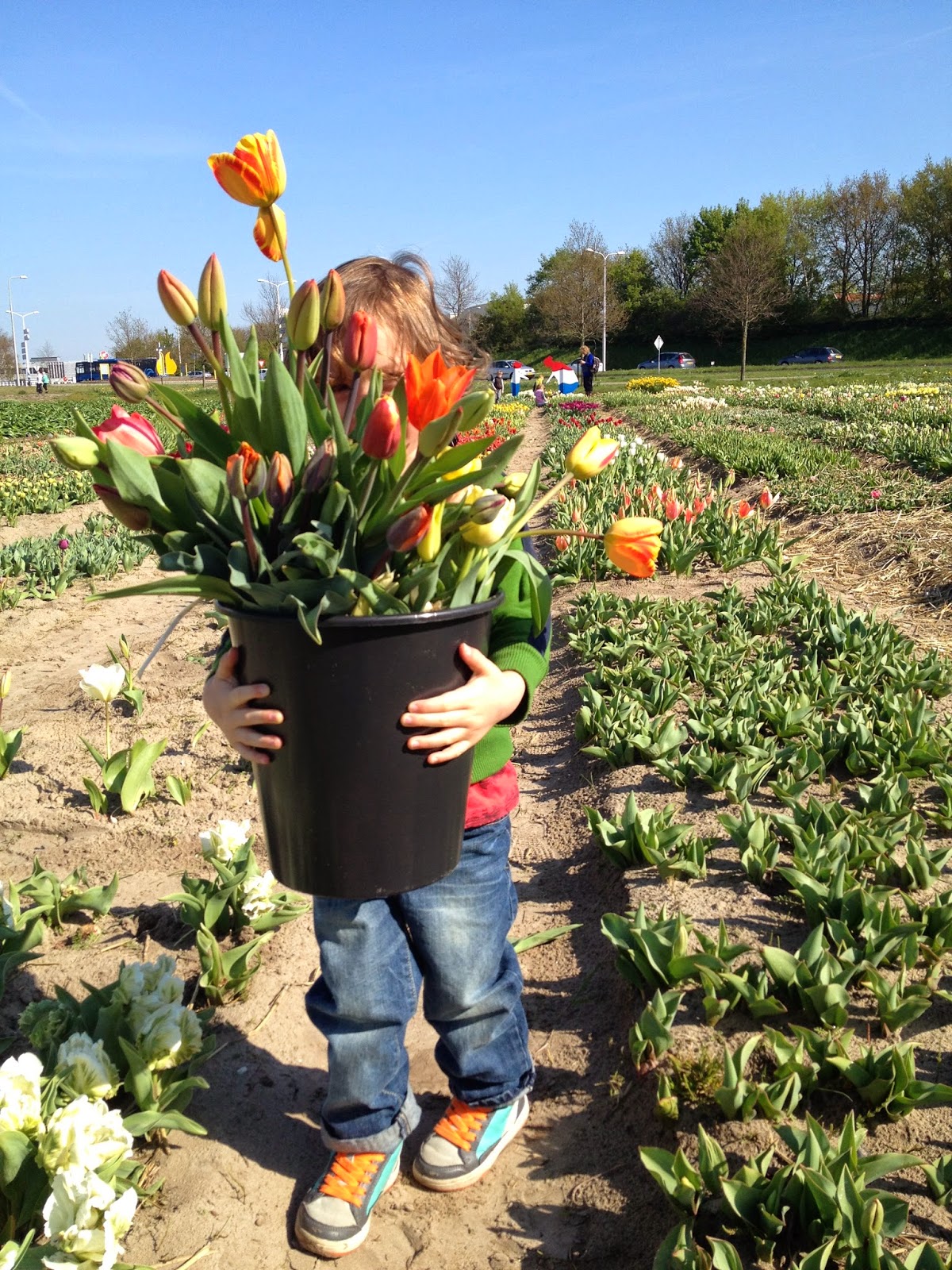 One Bunting Away Picking Tulips… again.