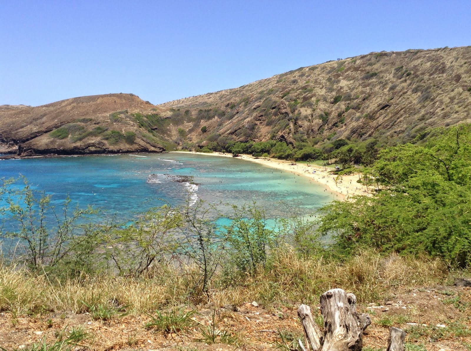 HANAUMA BAY 2014