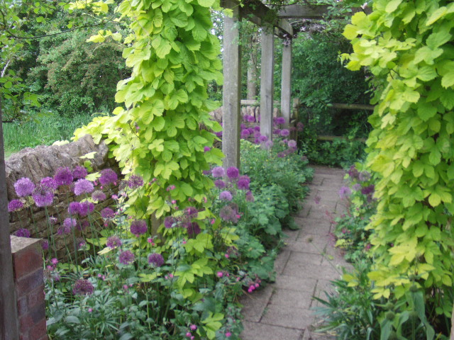 Geoff Hamilton's Cottage Gardens Episode Guide