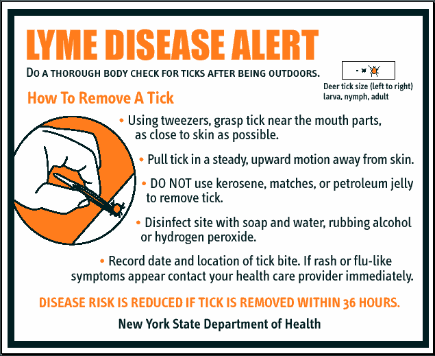 Lyme Disease Facts