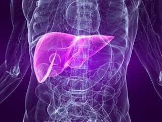 Penyakit Liver dan Penyebabnya Penyakit Liver dan Penyebabnya