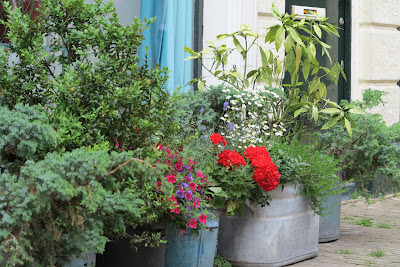container garden, flowers, Haafner, Haarlem, urban garden