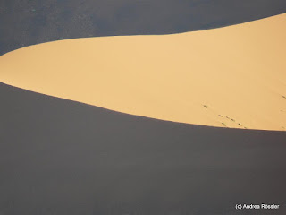 Reisen Afrika Namibia Wüste Namib