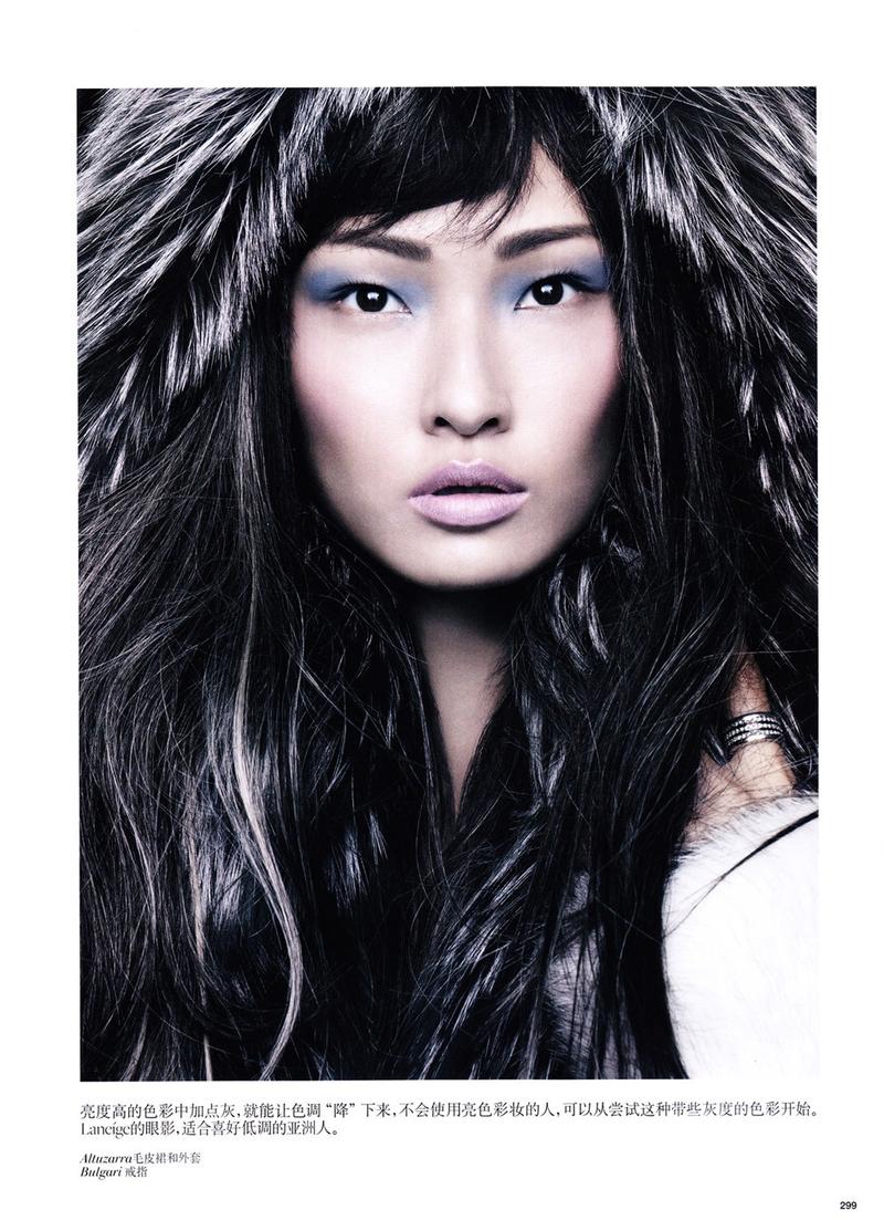Xiao Wang Model