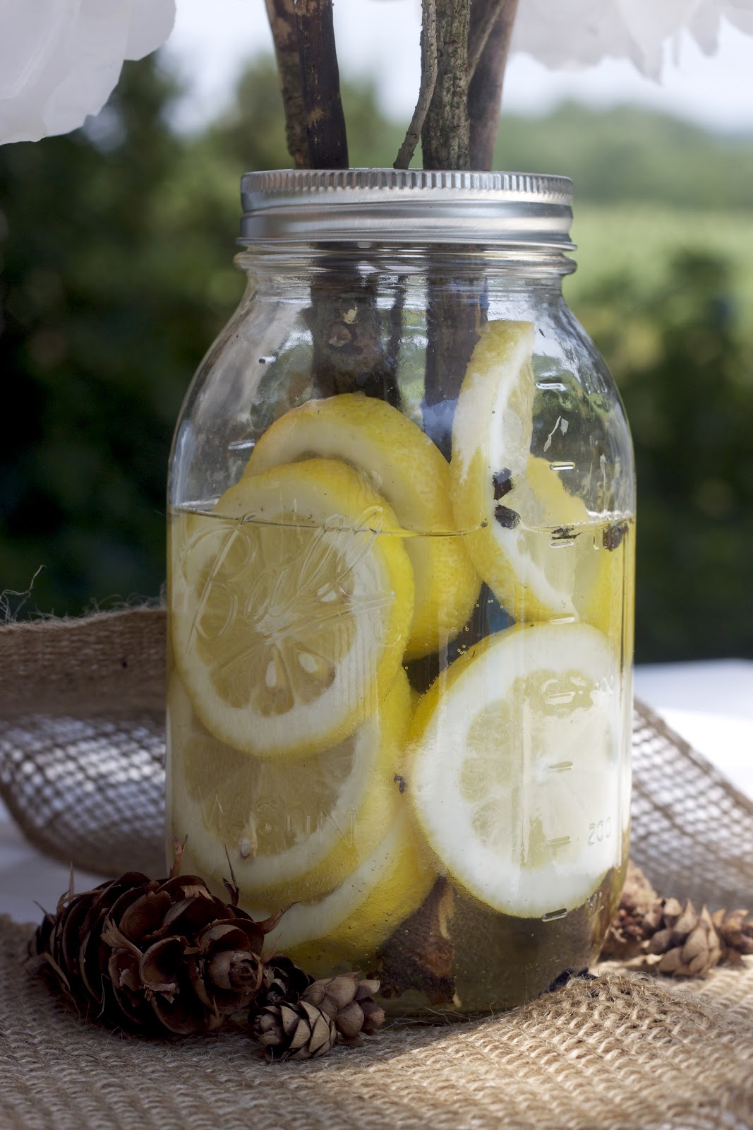 Free...Free as we'll ever be... Decorating Rustic, Vintage Yellow and