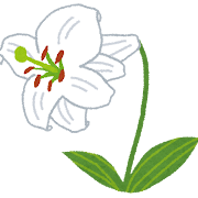 ユリのイラスト（花）