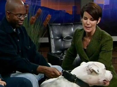 Kyle Dyer: veteran Denver TV news anchor attacked by dog live on air