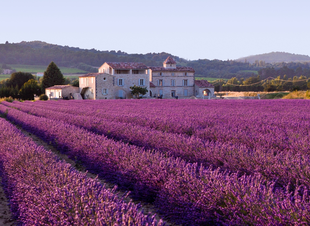 Lavender Fields, UK and France 20 Unbelievably beautiful places.
