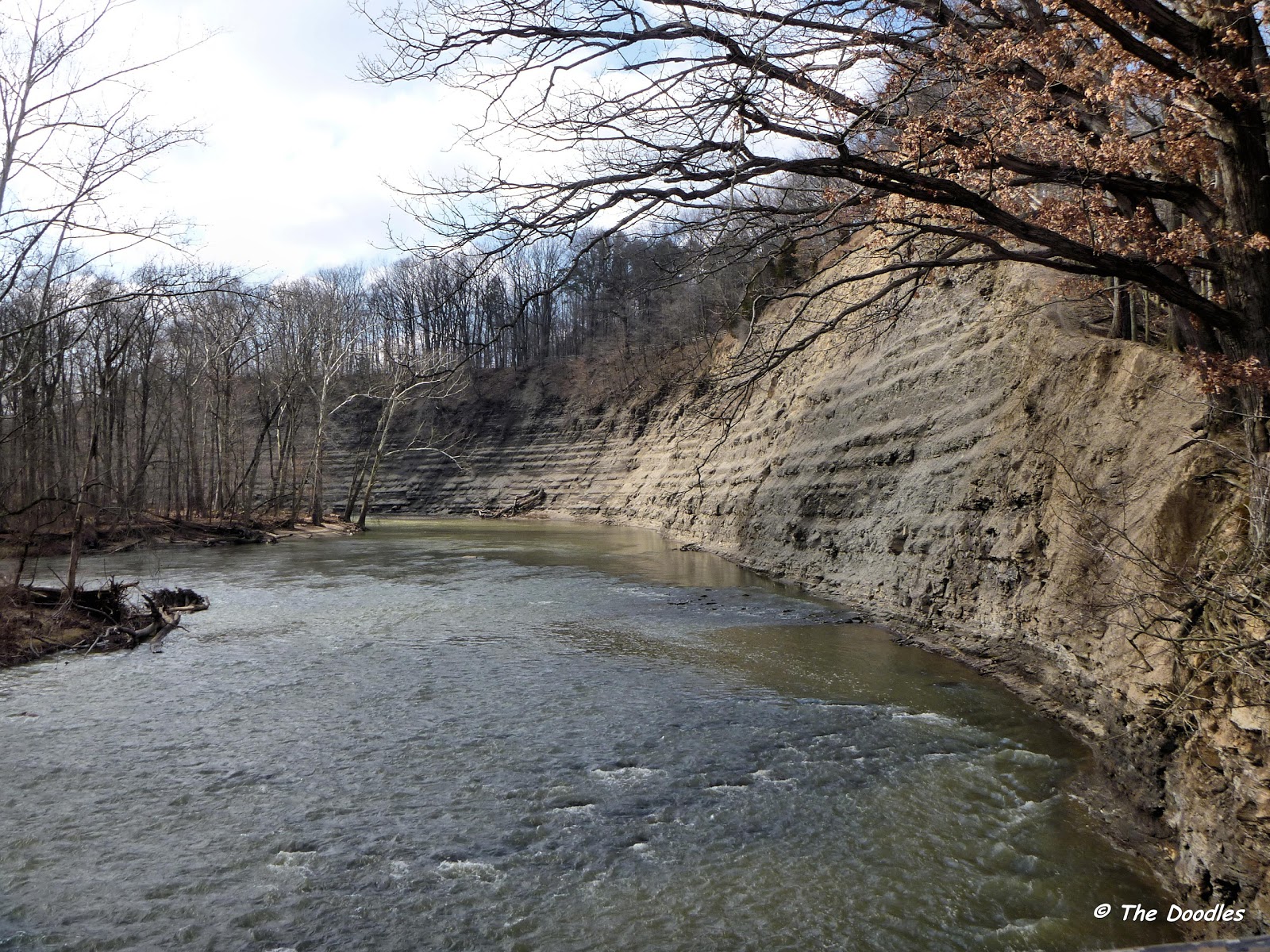 Birds from Behind More Rocky Shots From Rocky River...
