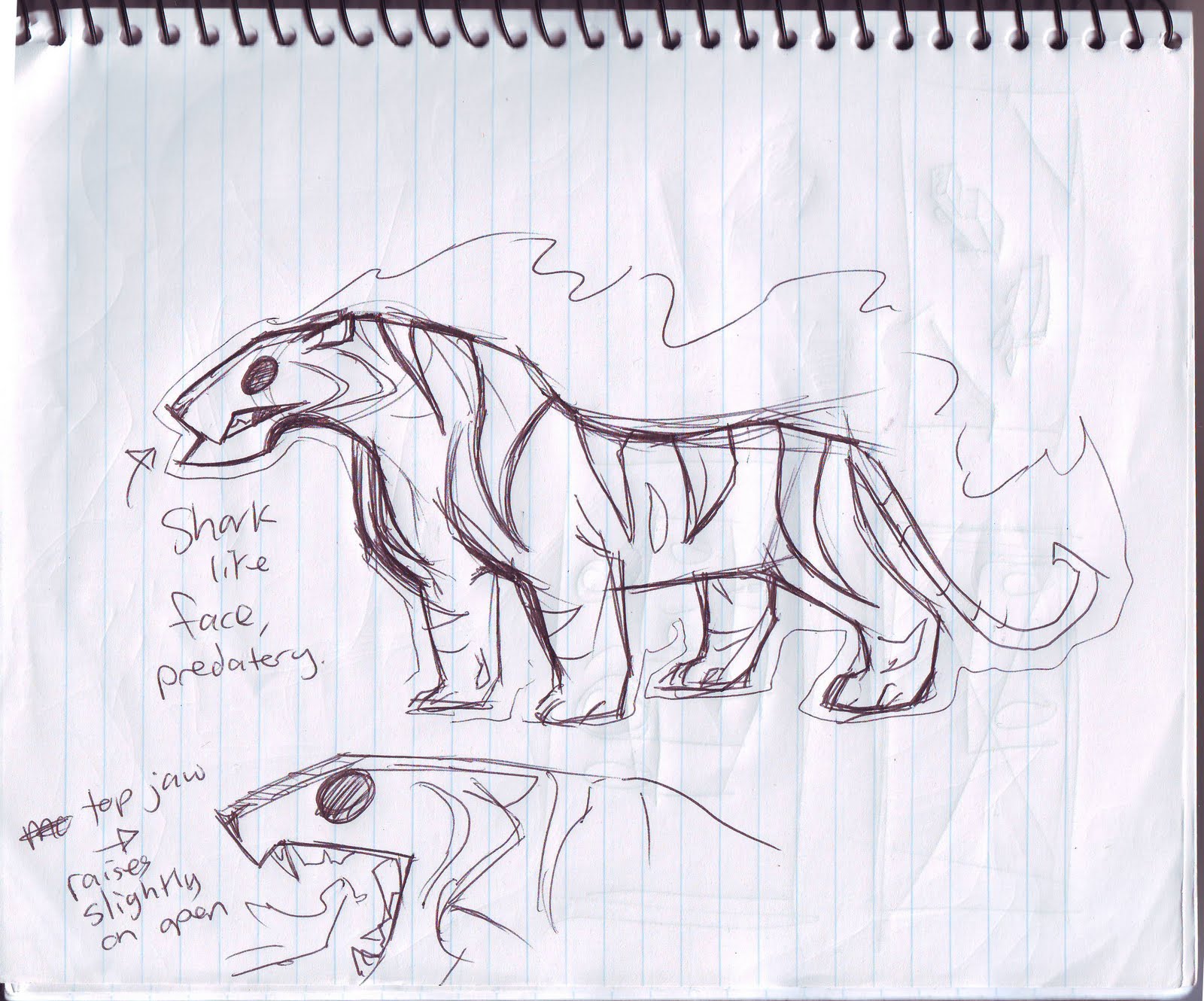 Art Room Britt Tiger Head Observational Drawing