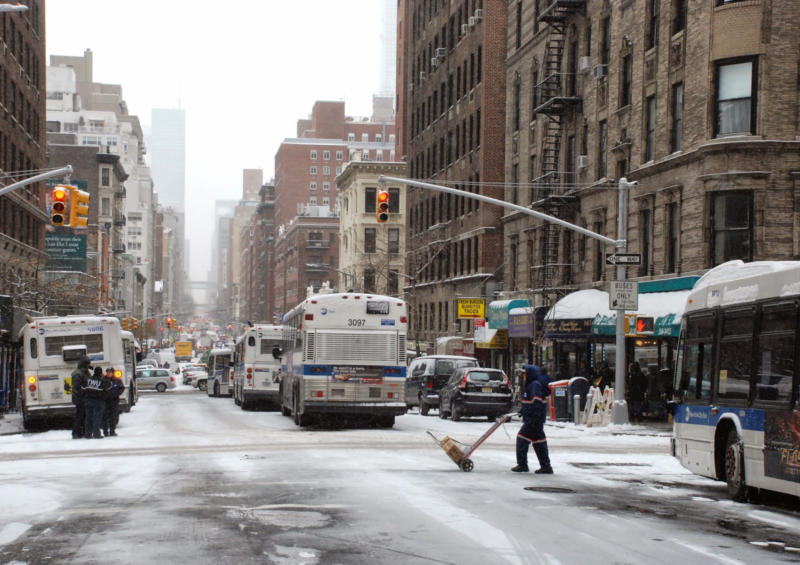 nycdiarist first snow