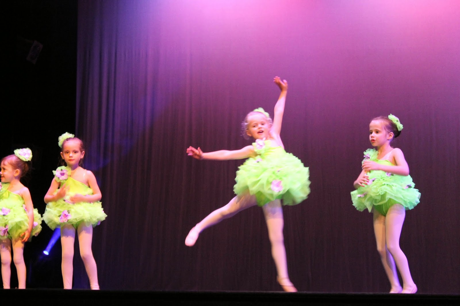 The Niemeyer Nest: Dance Recital!