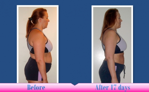 THE 17 DAY DIET BOOK AND DVDS