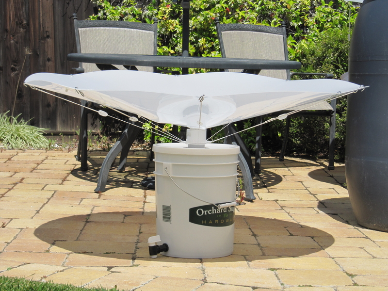 Temperate Climate Permaculture RainSaucers