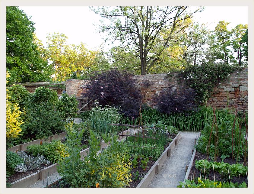 Storchschnabel Und Andere Stauden Page 3 Chan 31479082 Rssing Com